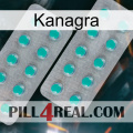 Kanagra 29